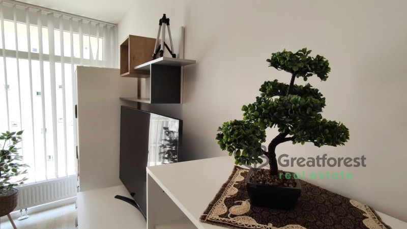 Debrecen, City Center, flat  