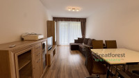Debrecen, Close To Main Campus, flat  