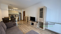 Debrecen, Close To Main Campus, flat  
