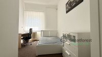 Debrecen, City Center, flat  