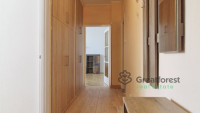 Debrecen, Close To Main Campus, flat  