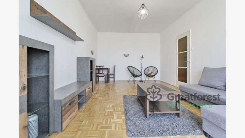 Debrecen, Close To Main Campus, flat  