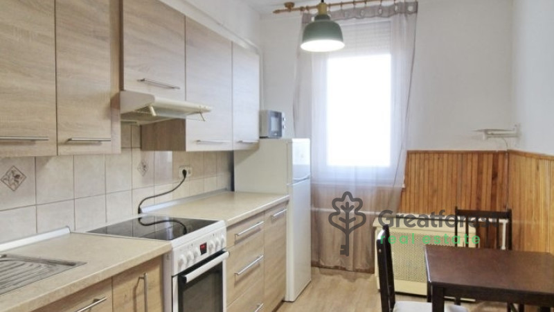 Debrecen, Close To Main Campus, flat  