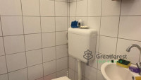 Debrecen, Greatforest Area, flat  