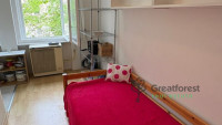 Debrecen, Greatforest Area, flat  
