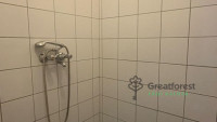 Debrecen, Greatforest Area, flat  