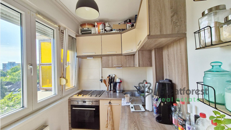 Debrecen, Close To Main Campus, flat  