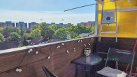 Debrecen, Close To Main Campus, flat  