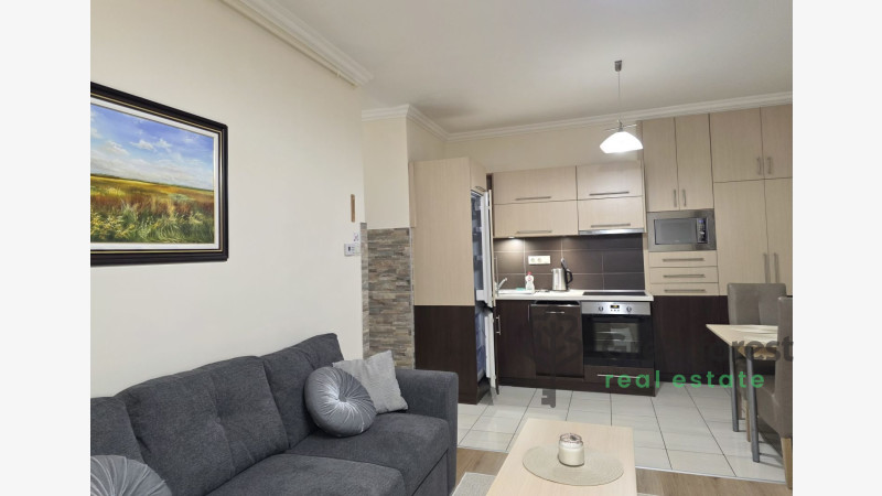 Debrecen, Close To Main Campus, flat  