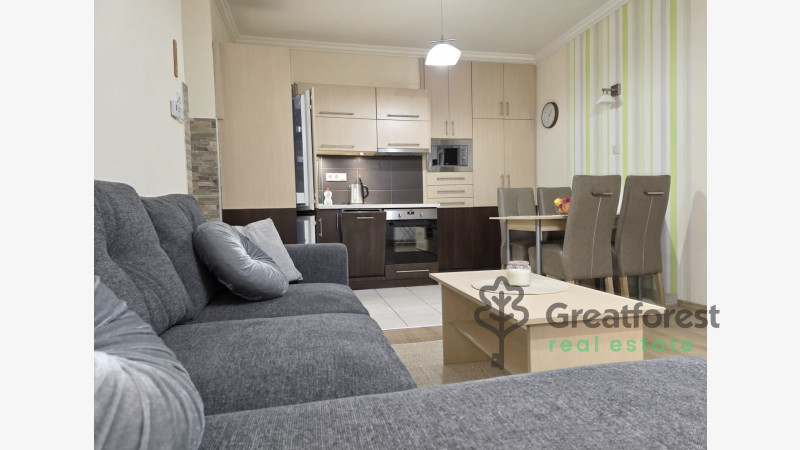 Debrecen, Close To Main Campus, flat  