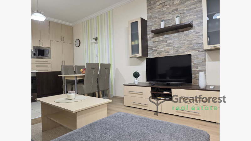 Debrecen, Close To Main Campus, flat  