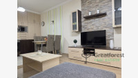 Debrecen, Close To Main Campus, flat  