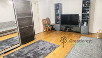 Debrecen, Close To Main Campus, flat  