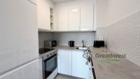 Debrecen, City Center, flat  