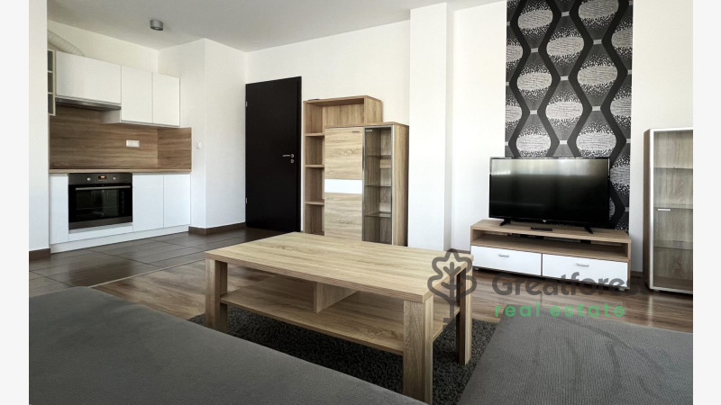 Debrecen, Close To Main Campus, flat  