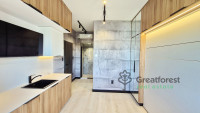 Debrecen, City Center, flat  