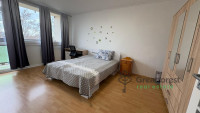 Debrecen, Close To Main Campus Agricult. Unversity, room  