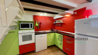 Debrecen, City Center, flat  