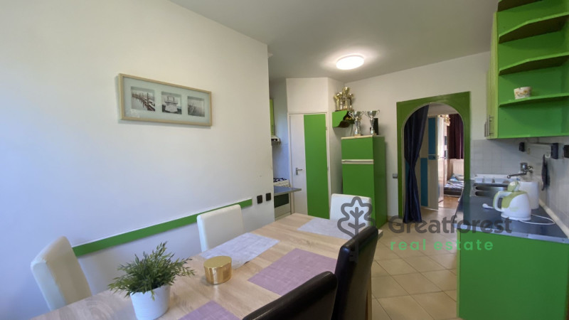 Debrecen, Greatforest Area, flat  