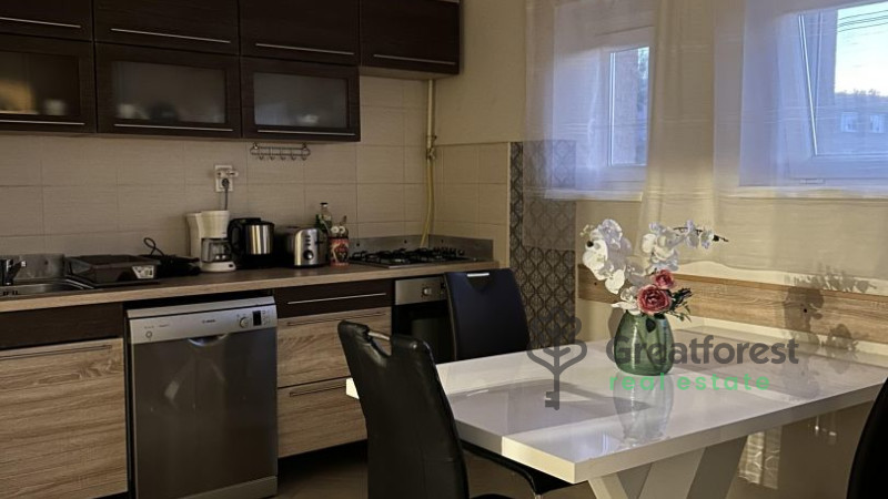 Debrecen, Close To Main Campus, flat  