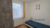 -, Greatforest Area, flat  