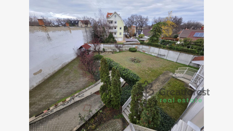 -, Greatforest Area, flat  