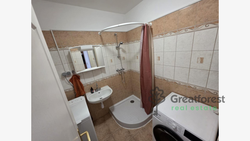 -, Greatforest Area, flat  