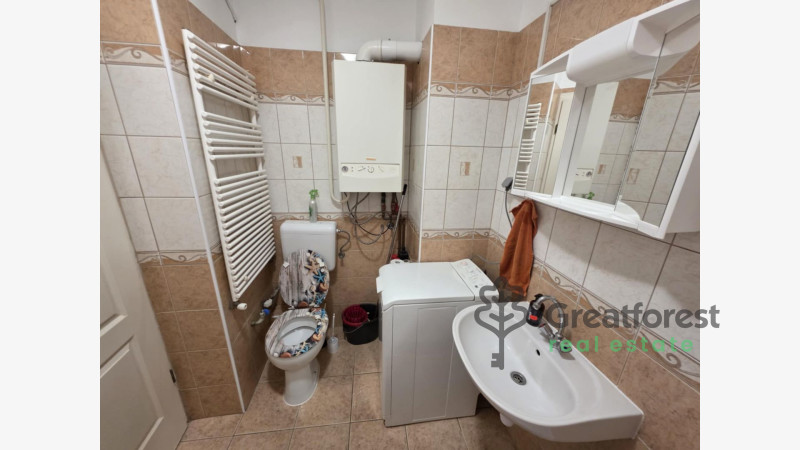 -, Greatforest Area, flat  