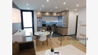 Debrecen, Bem Square, flat  