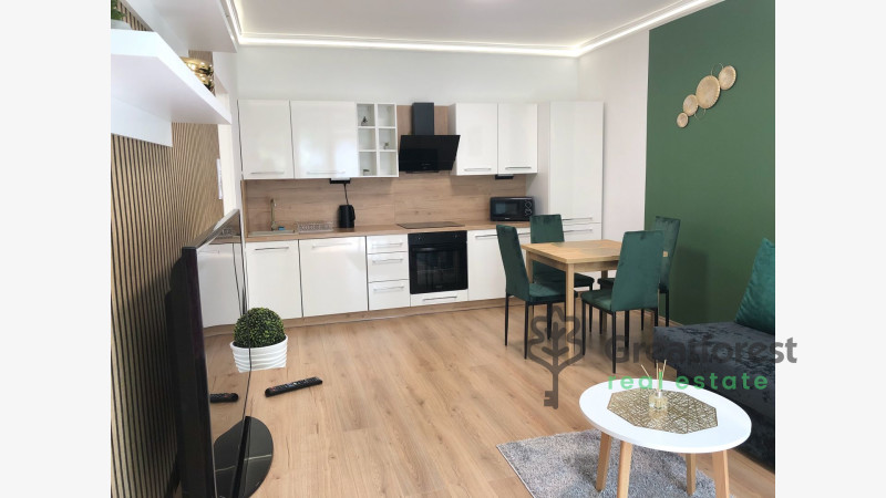 Debrecen, Close To Main Campus, flat  