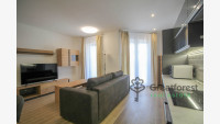 Debrecen, City Center, flat  