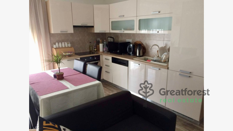Debrecen, Close To Main Campus Agricult. Unversity, flat  