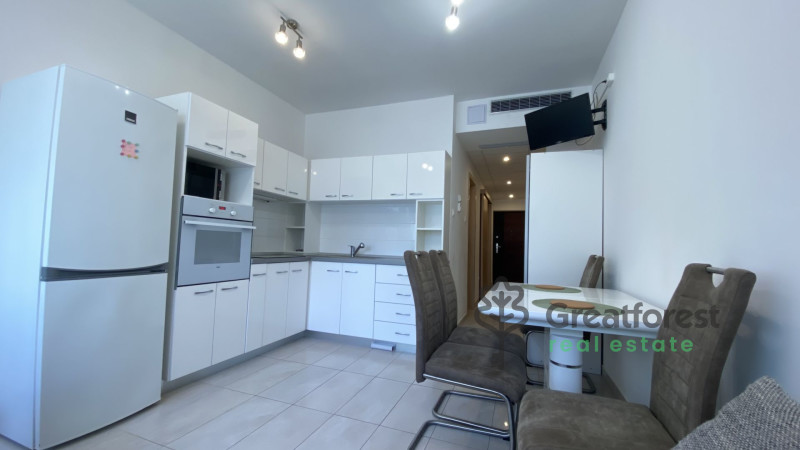 Debrecen, City Center, flat  