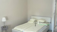 Debrecen, City Center, flat  