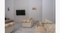 Debrecen, City Center, flat  