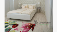 Debrecen, City Center, flat  