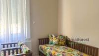 Debrecen, City Center, flat  