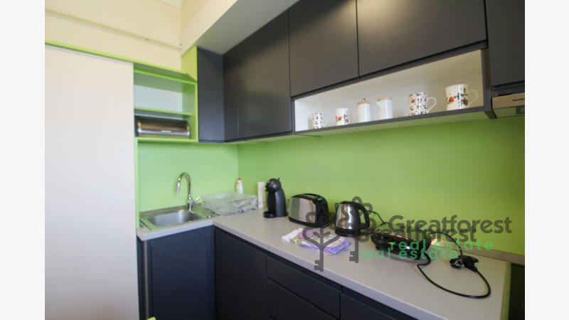 Debrecen, Close To Main Campus, flat  