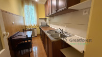 Debrecen, Close To Main Campus, flat  