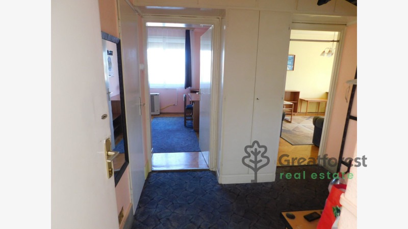 Debrecen, Greatforest Area, flat  