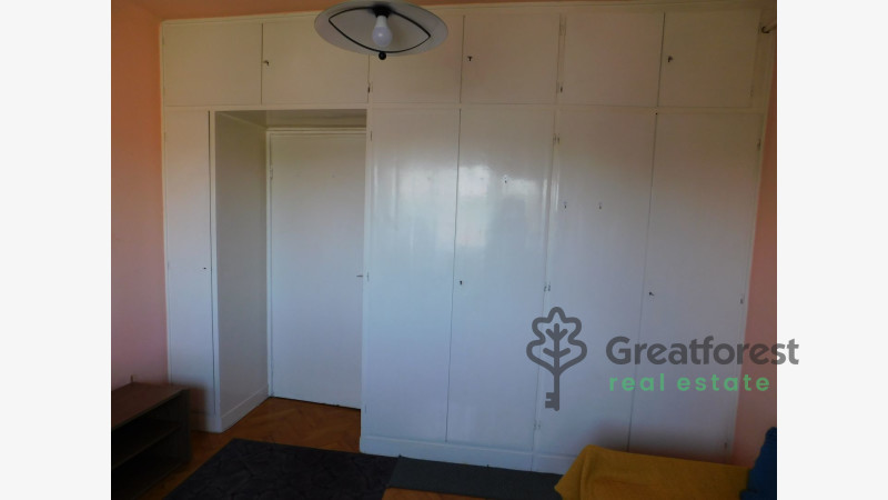 Debrecen, Greatforest Area, flat  