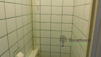 Debrecen, Greatforest Area, flat  