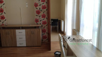 Debrecen, Greatforest Area, flat  