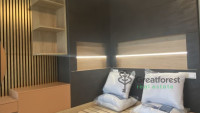 Debrecen, City Center, flat  