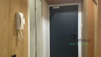 Debrecen, City Center, flat  