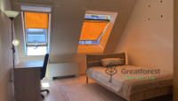 Debrecen, Bem Square, flat  