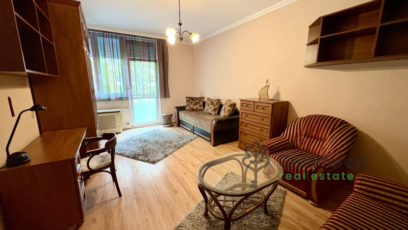 Debrecen, Close To Main Campus, flat  