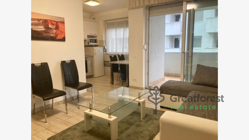 Debrecen, City Center, flat  