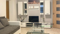 Debrecen, City Center, flat  