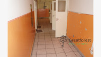 Debrecen, commercial premises not in shopping center  